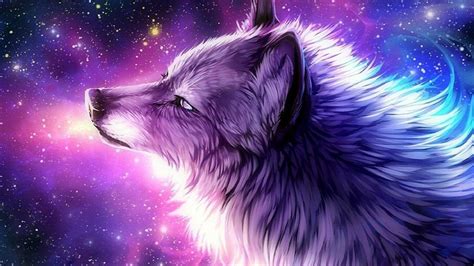 Galaxy Dog Background