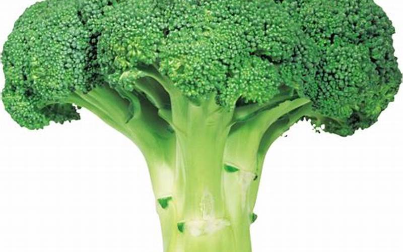 Gambar Brokoli