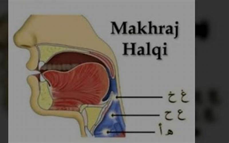 Gambar Makhorijul Huruf Al-Halqi