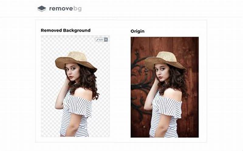 Gambar Online Background Remover