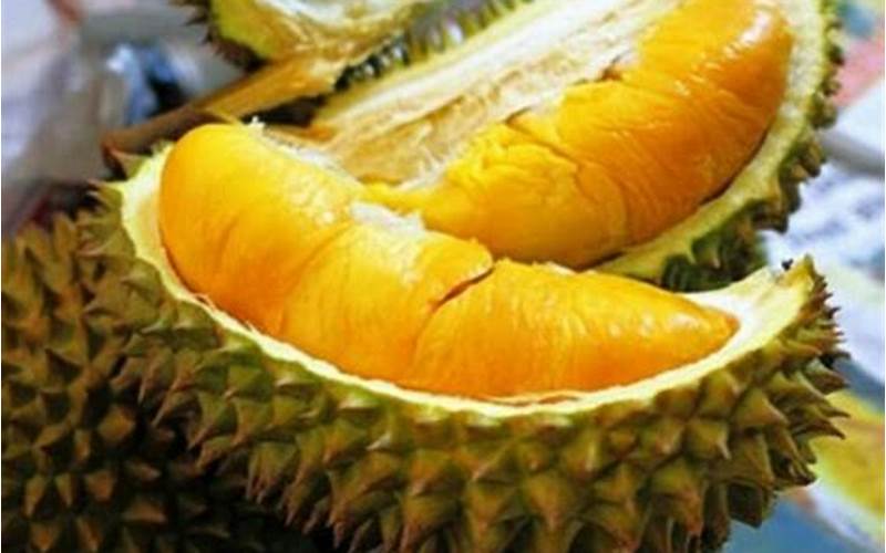 Gambar Tips Mengonsumsi Durian