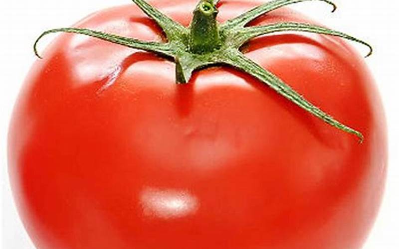 Gambar Tomat