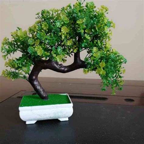 gambar bonsai plastik