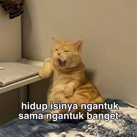 Gambar Meme Ngantuk