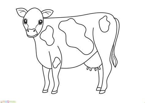 Gambar Mewarnai Sapi