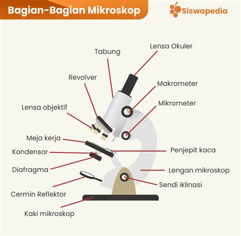 Gambar Mikroskop Word Indonesia