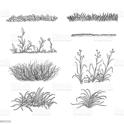 Gambar Sketsa Rumput