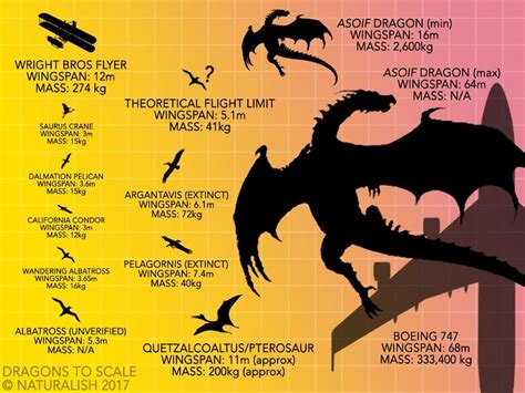 Infographic Dragon size comparison chart Big dragon, Game of thrones
