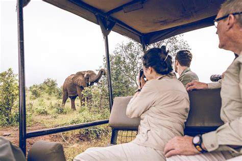 Game Drive Encounters