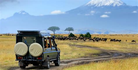 Game Drive Lake Nakuru