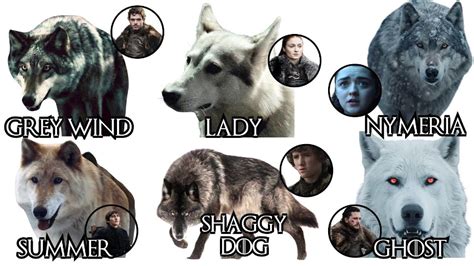 The Majestic Menagerie of Game of Thrones: A Guide to the Legendary Direwolf Names