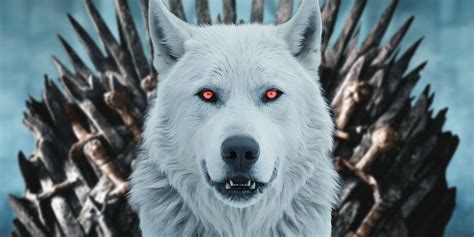 Game of Thrones Direwolf