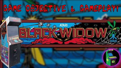 Gameplay and Objectives