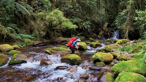 Gunung Gandang Dewata Mamasa Bakal Ditetapkan Taman Nasional ke 53