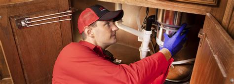 Garbage Disposal Repair in Garland