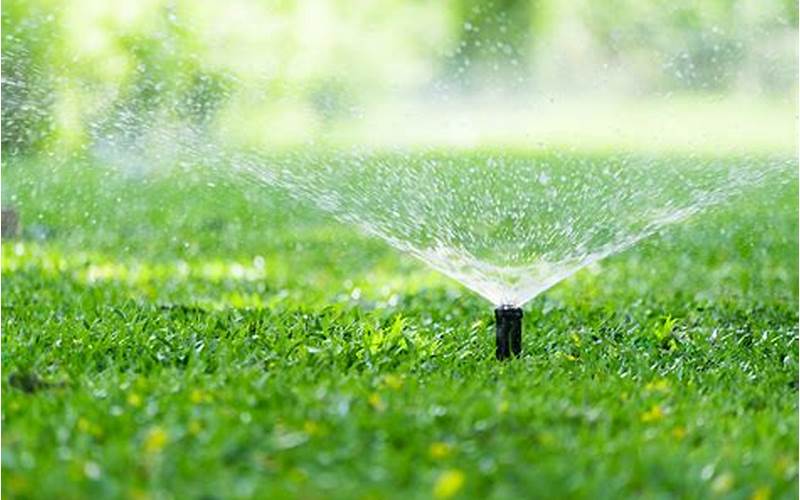 Garden Irrigation System Types