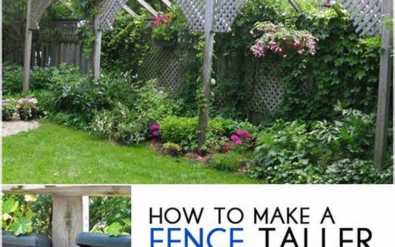 Garden Privacy Using Fence Sections: How To Create Your Own Private Oasis