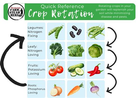 Garden Crop Rotation Chart