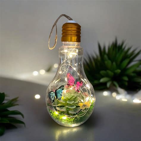 Garden In A Lightbulb