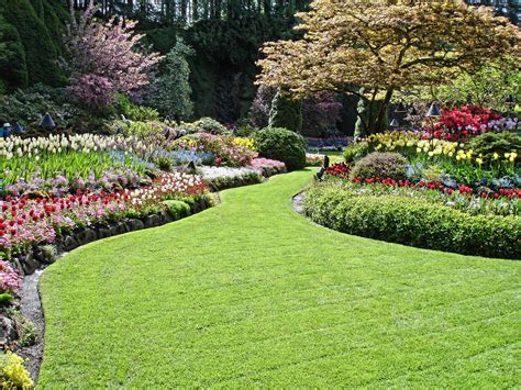 Garden Maintenance And Design