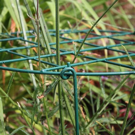 Garden Plant Rings