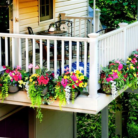 Garden Plants By Post