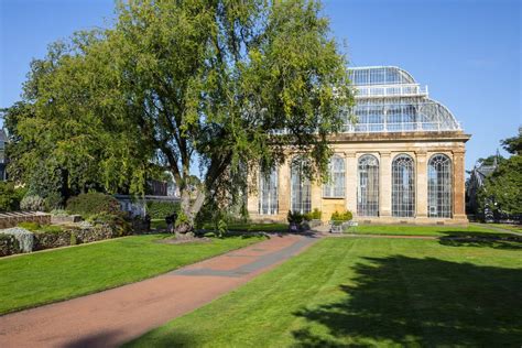 Garden Plants Edinburgh