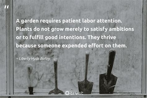 Gardening Tools Quotes