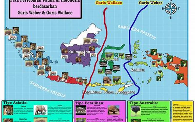 Garis Yang Membatasi Fauna Di Indonesia Bagian Barat Dan Bagian Timur Adalah