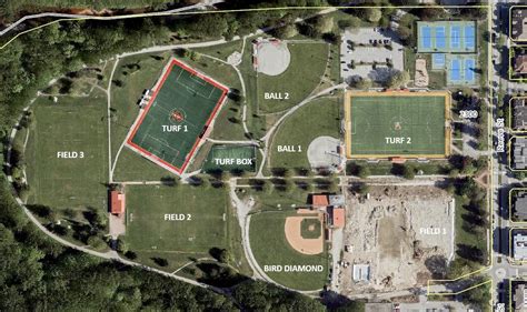 Bear killed in Port Coquitlam's Gates Park British Columbia CBC News