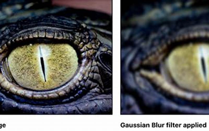 Gaussian Blur Filter