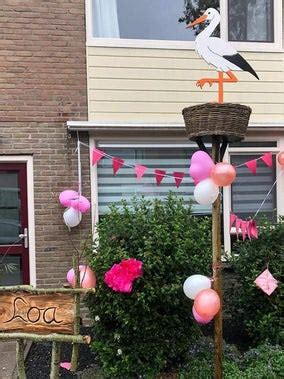 Geboorte Versiering Tuin