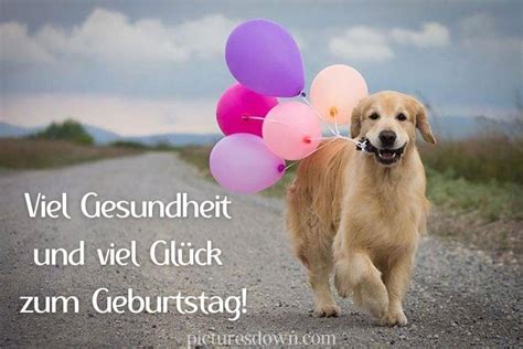 Geburtstag Hunde Bilder