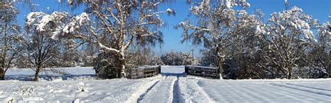 Geisenfeld Private Guided Walking Tour: A Helpful Review