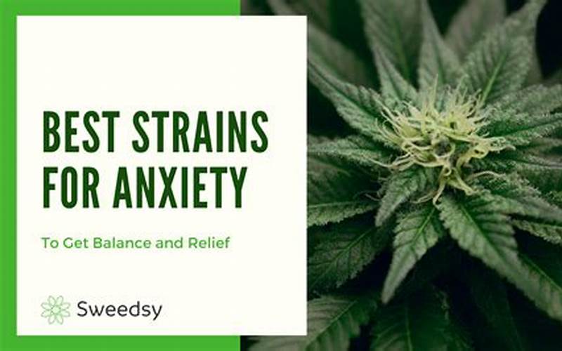 Gelly Strain Anti-Anxiety