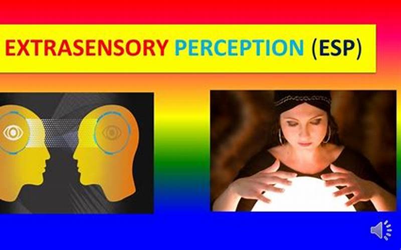 Gelly Strain Sensory Perception