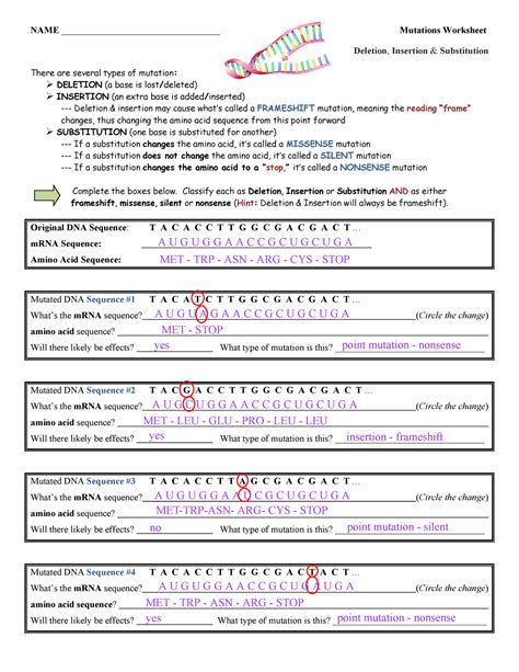 Gene And Chromosome Mutation Worksheet