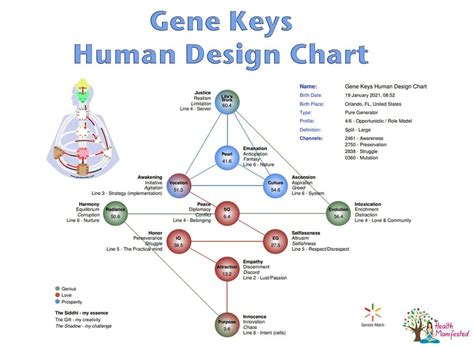 Gene Keys Calculator