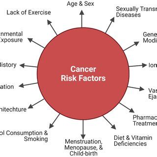 General Cancer Risk Factors to Consider