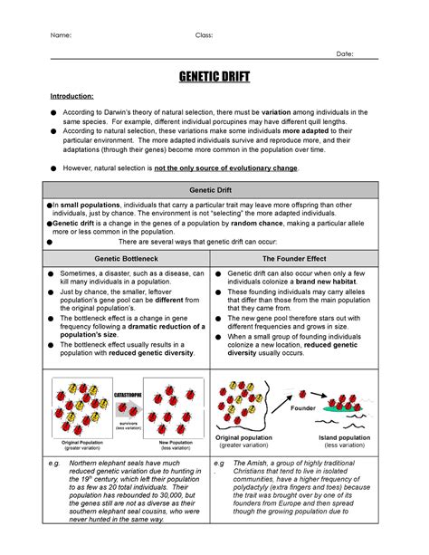 Genetic Drift Worksheet Answer Key