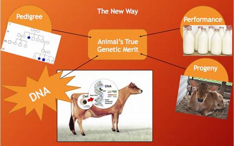 Genetic Factors In Animals