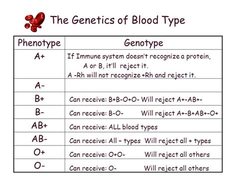 Genetic Blood Types Chart