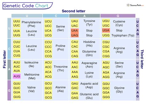 Genetic Code Chart