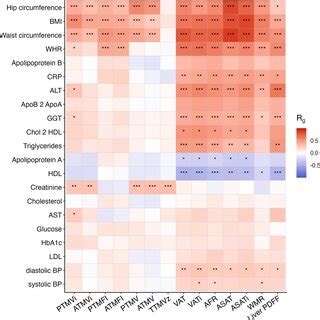 Genetic Factors and Body Composition