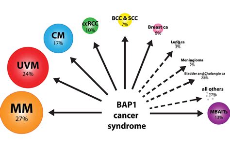 Genetic Predisposition (BAP1 Gene Mutation)
