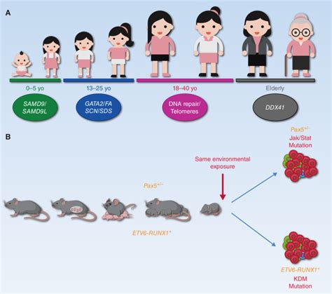 Genetic Predisposition and Age