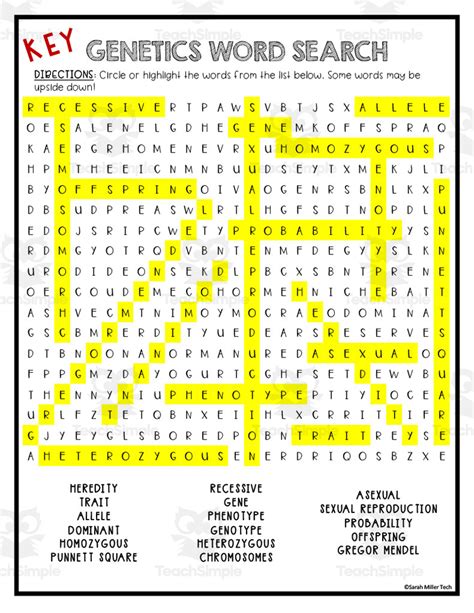 Genetics Word Search Answer Key Worksheet – Solution Blog Article 2023