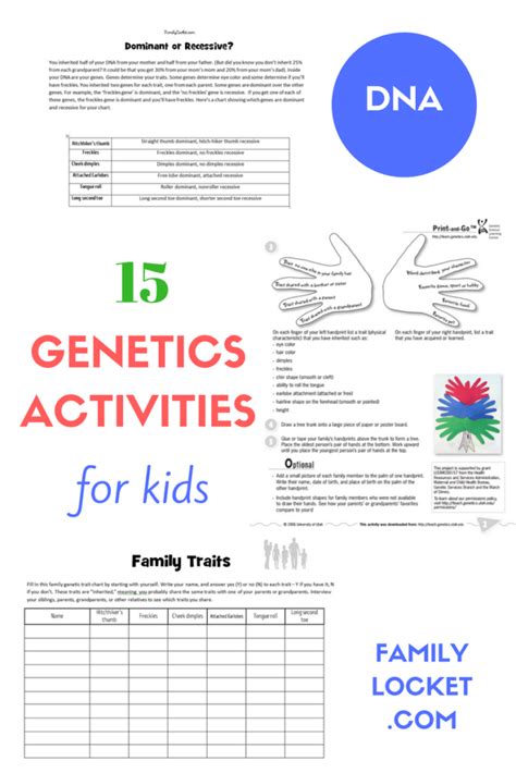 th?q=Genetics%20worksheet%20for%20students - Genetics Worksheet For Students: Tips And Tricks