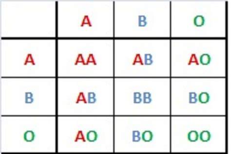 Genetics Of Blood Types Chart