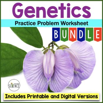 Genetics Practice Problem Worksheet Bundle by Amy Brown Science